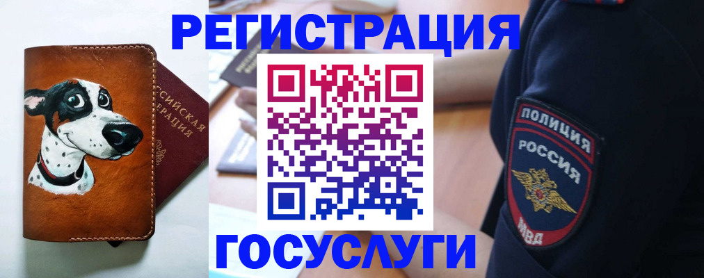 временная регистрация в квартире в Аргуне